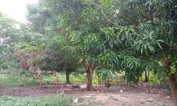 Imagem 6: SÍTIO - CACIMBA VELHA