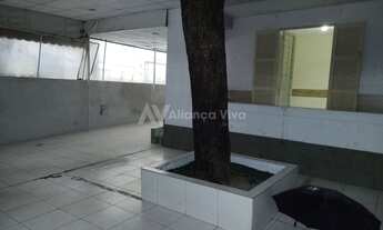 Imagem 2: Laranjeiras Casa com 5 dormitórios