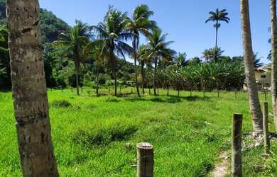 Imagem 4: BELÍSSIMA PROPRIEDADE SITIO FAZENDA GUARAPARI