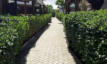 Imagem: Excelente village dúplex nascente vista