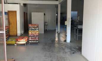 Imagem 4: Pavilhão 550 mts2