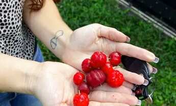 Imagem 2: TERRENO DENTRO DE CONDOMÍNIO PERTO DO RECREIO SHOPPING & À PRAIA