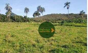 Imagem 5: Fazenda à venda, 82 hectares por R$ 3.200.000 - Zona Rural - Luziânia/GO