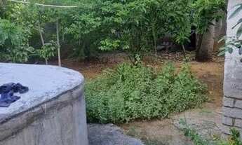 Imagem 5: Alugo casa em Riachão do Jacuípe