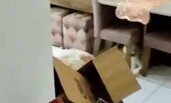 Imagem 3: Apartamento para aluguel com 55 metros quadrados com 2 quartos em Buraquinho - Lauro de Fr