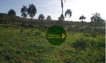 Imagem 2: Fazenda à venda, 82 hectares por R$ 3.200.000 - Zona Rural - Luziânia/GO