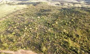 Imagem 4: Oportunidade de Adquirir uma Chácara de Maravilhosos 20.000m2 e Água nos Fundos!