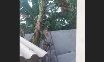 Imagem 5: Alugo Kitnet mobiliada