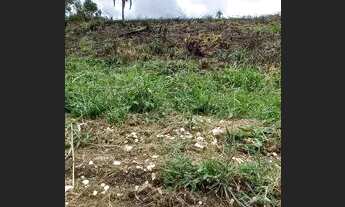 Imagem 3: Chácara de 5.000 m2