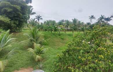 Imagem 2: Sitio terreno Chácara com venda por R$60.000