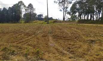 Imagem 5: VENDO TERRENO LOCALIZADO EM IBIÚNA-SP