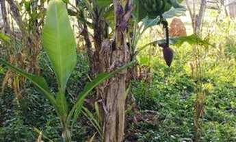 Imagem 2: Casa Vende ou troca preço negociável