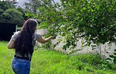 Imagem 4: TERRENO DENTRO DE CONDOMÍNIO PERTO DO RECREIO SHOPPING & À PRAIA