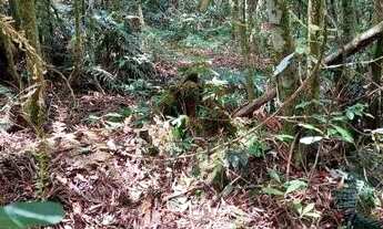 Imagem 2: Terreno no bairro São Bernardo em São Francisco de Paula!