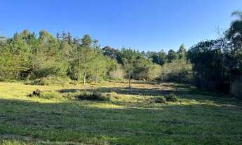 Imagem 14: Sítio Plano E Com Nascente Para Fazer Açude. ROB:899