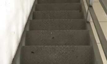 Imagem 6: GALPÃO - PARQUE SÃO PEDRO - SP