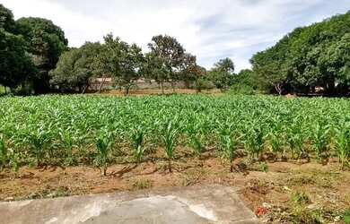 Imagem 7: Excelente Chácara! 9.000m2, Poço, Casa 03 Quartos, Suíte, Incra 09, Cond. Vista Bella