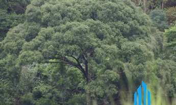 Imagem 2: Chácara a venda com 3.000 mil metros com córrego dentro da propriedade em Buenos Aires em