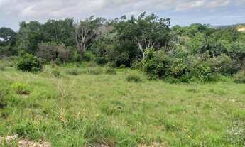 Imagem 3: Lote na Palestina 48947