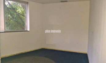 Imagem 4: PINHEIROS! OPORTUNIDADE!