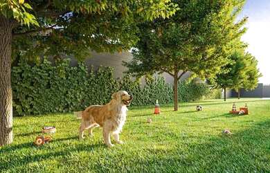 Imagem 7: Vivaz Prime Alto da Boa Vista | Construtora Vivaz | Construção