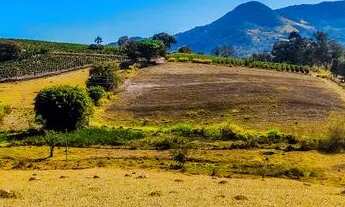 Imagem 4: CHÁCARA ENTRE ANDRADAS E IBITIURA DE MINAS