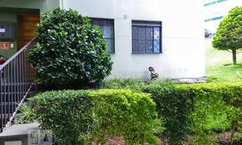 Imagem 5: Apartamento para Aluguel - Picanço, 2 Quartos, 44 m2