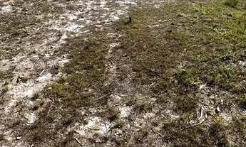 Imagem 3: Terrenos 1500m2 em Mairiporã! Garanta agora o seu!