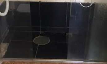 Imagem 4: Suíte - grande Quarto com aluguel por R$900 /mês