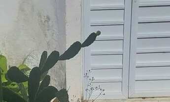 Imagem 7: Para alugar logo!