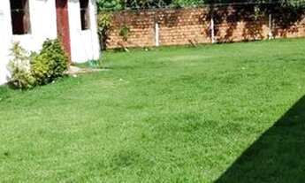 Imagem 6: Pra vender logo Casa com 2 dormitórios