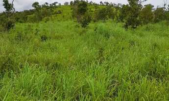 Imagem 3: Vendo posse 12 alqueires