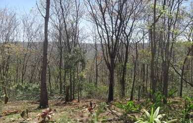 Imagem 4: Chácaras de 2.500m², com água de poço artesiano e energia elétrica, em São José da Serra