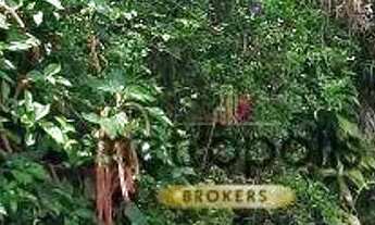 Imagem 7: Terreno à venda, 398 m² por R$ 1.190.000,00 - Santa Paula - São Caetano do Sul/SP