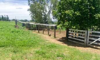 Imagem 5: Chacara em vila propicio goias