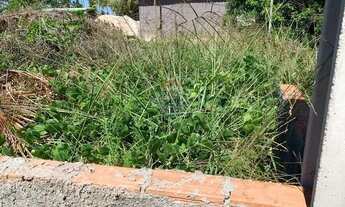 Imagem 13: No Paraíso de Tatuamunha tem umTerreno esperando por você!