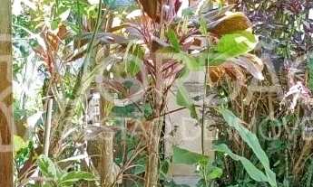 Imagem 2: KITNET, 1 DORMITÓRIO