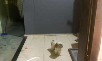 Imagem 7: Casa no parque vitória