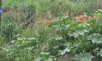 Imagem 6: TERRENO - VALE VERDE - SP