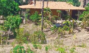 Imagem 7: Casa com terreno no Camboa