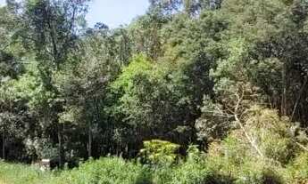 Imagem 5: Chácara à venda, com 70153 m2, em SAO JOSE DOS PINHAIS - PR