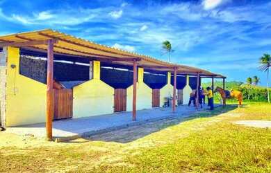 Imagem: Fazenda em Indiaroba com 163 Tarefas