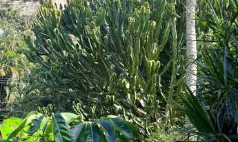 Imagem 3: Casa de Condomínio para alugar na Rua Calheiros Gomes, Barra da Tijuca, Rio de Janeiro - R