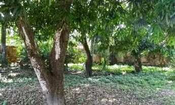 Imagem 5: Rua São Francisco, próximo da rua do campo