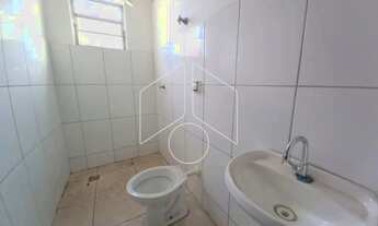 Imagem 5: Comercial GalpãoBarracão em Marília