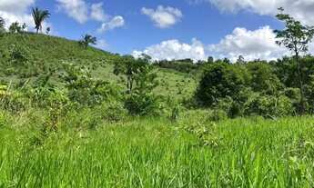 Imagem 6: Sítio para Venda em Maceió, Zona Rural, 2 dormitórios, 1 banheiro