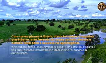 Imagem 7: FAZENDA PLANA GADO SOJA MILHO ALTO PADRÃO