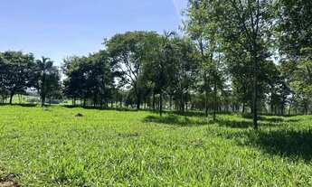 Imagem 6: Chácara à venda no bairro Rural em Caturaí/GO