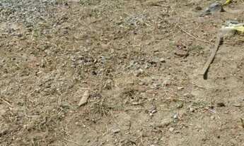 Imagem 4: Terreno para alugar, 200 m² por R$ 3.250,00/mês - Rudge Ramos - São Bernardo do Campo/SP