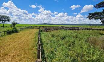 Imagem 3: Fazenda de 119 alqueires em Itarumã - GO